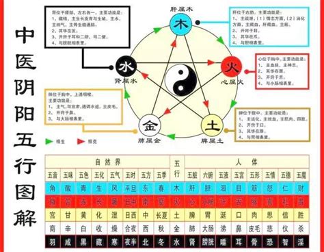 中醫五行歸類表